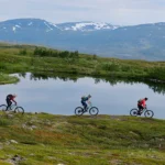 Gear Up: 5 Essential Maintenance Tips for Your Spring Rides