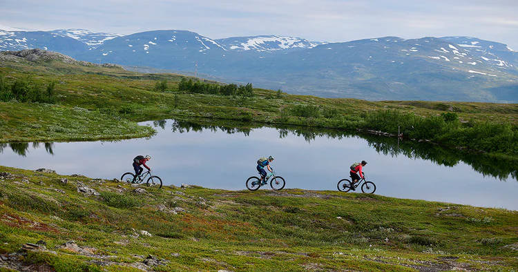 Gear Up: 5 Essential Maintenance Tips for Your Spring Rides